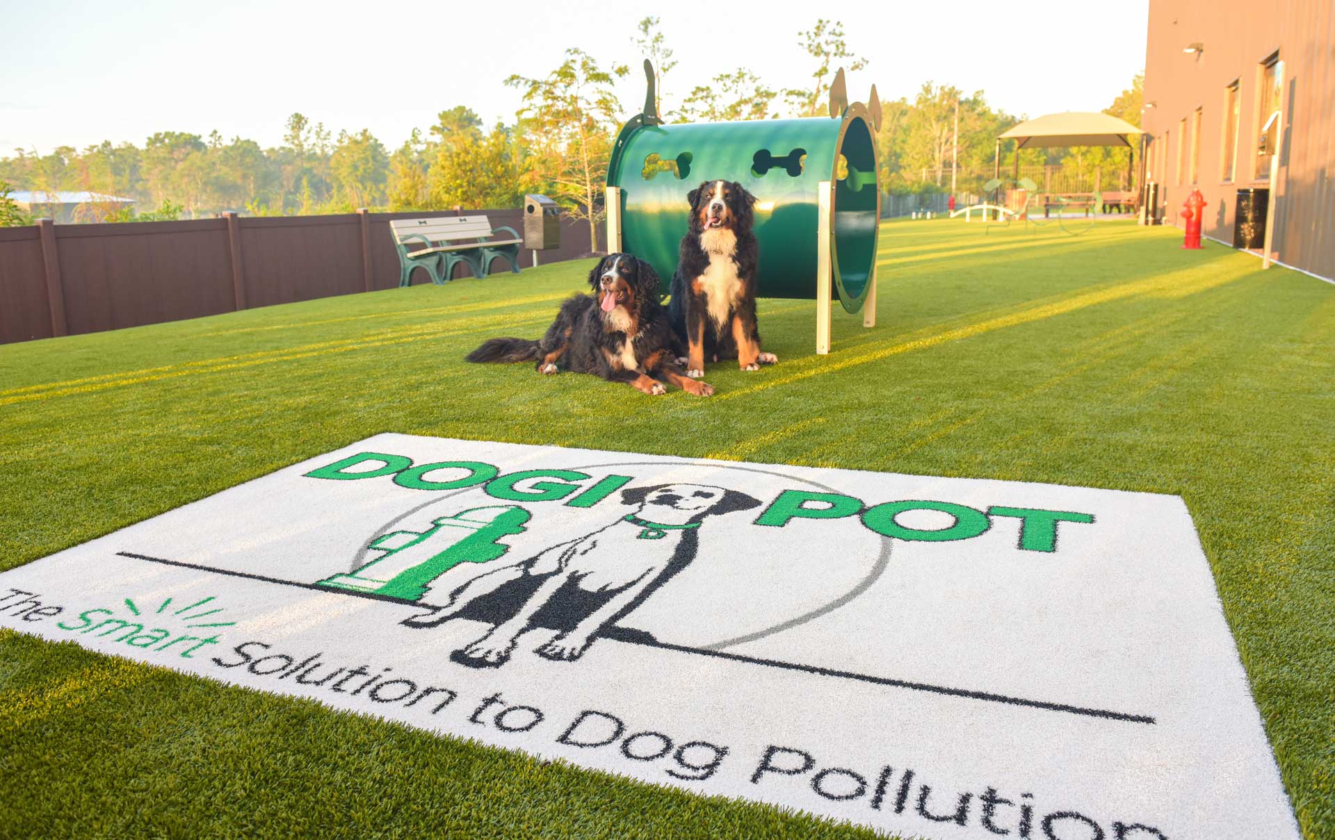 DOGIPARK® DOGIPARK®